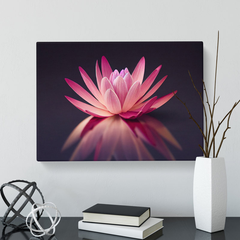 Captivating Water Lily Flower - Wrapped Canvas Print, 35cm H x 50cm W x 3cm D