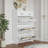 Versatile Shoe Cabinet with Multiple Compartments for Efficient Storage