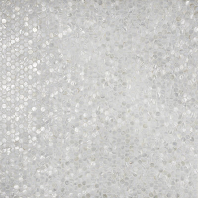 Conchella Mini Penny White 11-1/2" x 11-5/8" Natural Shell Mosaic Wall Tile