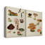 Toile tendue avec châssis Mushroom Species IX-Premium - Prêt à être accroché-108942884