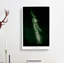 Part Of The Milky Way by E. L. Trouvelot - Wrapped Canvas-55329901