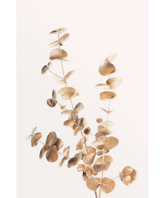 Wrapped Canvas Print, 76.2 cm H x 50.8 cm W