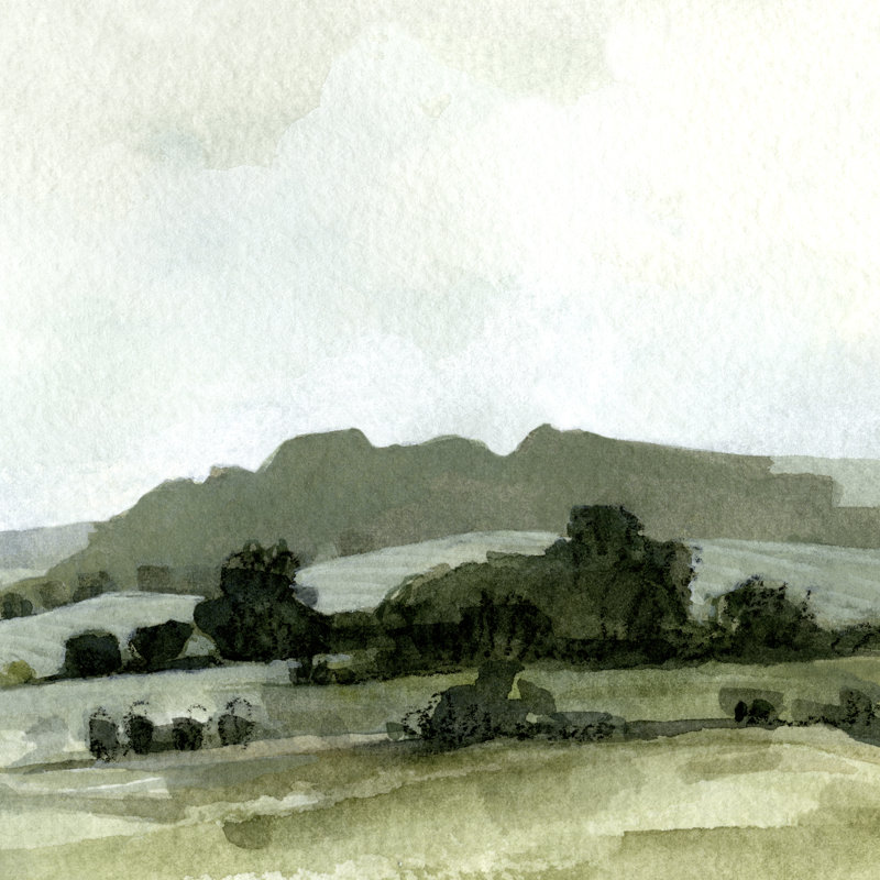 Vert Landscape II - Wrapped Canvas Print, 76cm H x 76cm W x 3.8cm D