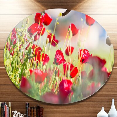 Beautiful Red Poppy Flowers View' Photographic Print on Metal -  Design Art, MT12620-C36