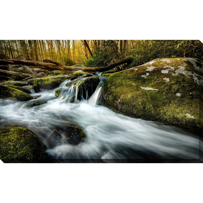 «Fallen Timber», reproduction de photo, H 18 po x l 30 po x P 1 po, Toile tendue