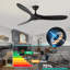 Solid Wood Ceiling Fan with  Remote-1796635963-1796635960