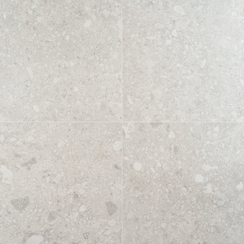Stonehenge 24" x 24" Matte Porcelain Terrazzo Look Floor and Wall Tile (11.62 Sq. Ft. / Case), Silver