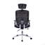 Fauteuil de direction à haut dossier avec accoudoirs, base lombaire et support lombaire Techni Mobile