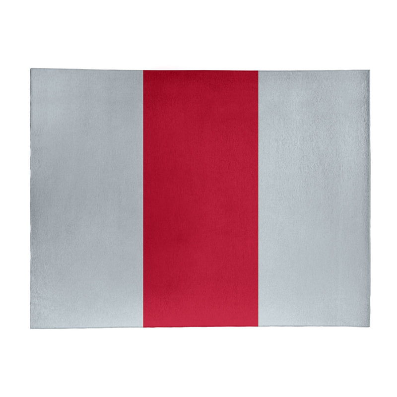 Chenille Striped Indoor Rug, Rectangle 5' x 7'
