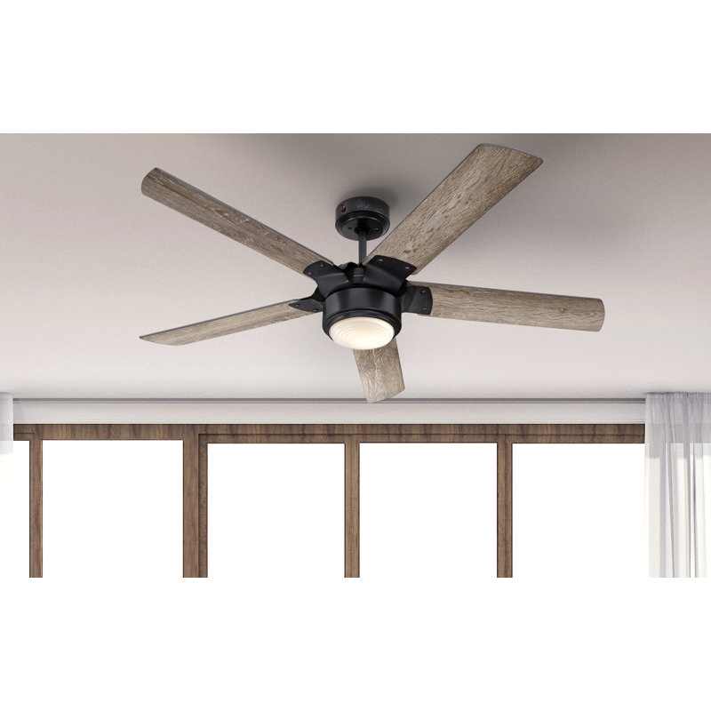 Prochoros Ceiling Fan with LED Lights