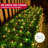 2 Pack 100 Warm White Christmas Net Lights