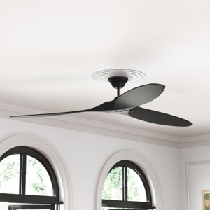 Ceiling Fans