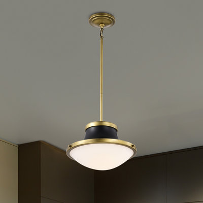 Vanek - Light Schoolhouse Pendant