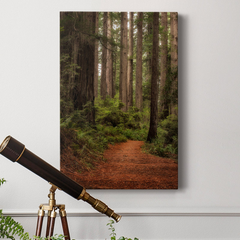Forest Path II - impression sur toile tendue, H 18 po x l 12 po x P 1 po