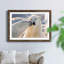 Baiser d'ours polaire - photographie avec cadre photo-171017469-171017470