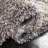 Hudson Shag Performance Rug-1328434124
