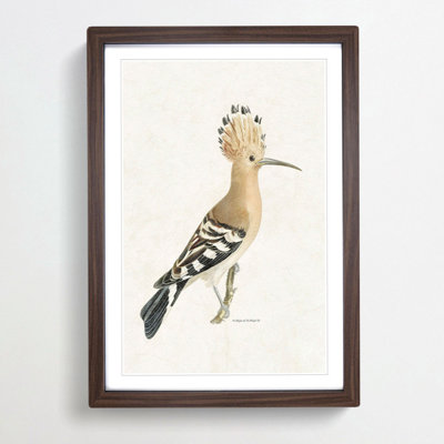Hoopoes Bird by Von Wright - Picture Frame Painting Print on MDF