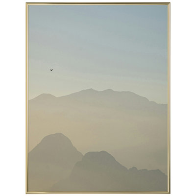 24x32 Picture Frame Gold Metal I Style AF732-PI , 0.375 Inch Metal Moulding , Includes Acrylic and Backing , Wall Display Frame for Art, Posters, or Photos , Frame USA