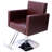 Beauty Shampoo Barbering Chair