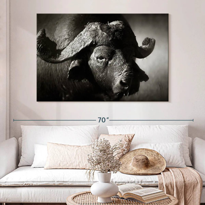 Buffle d'Afrique sauvage Brampt, H 34 po x l 51 po