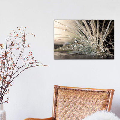 Pearls by Maryam Zahirimehr - Wrapped Canvas Print
