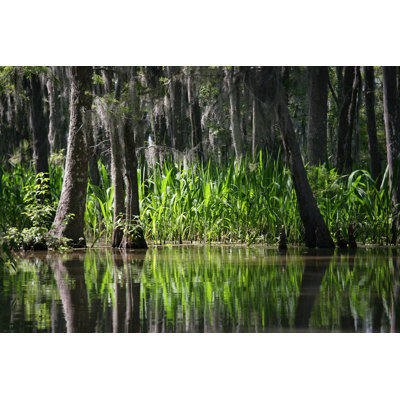 Honey Island Swamp - Louisiane par Parkerdeen