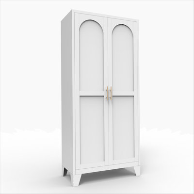 2 Shapely Doors Cabinet, Metal Storage Cabinet with Doors and Adjustable Shelves, for Bedroom, Living Room by Red Barrel Studio