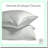 Cooling Bamboo Silk Pillowcase Set - Standard Size 2 Pack, Soft Breathable Pillow Cases with Envelope Closure for Standard Queen Pillows-116387711