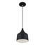 Luminaire suspendu Catrinia-121436243
