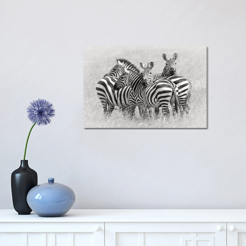 Zebras 1 Piece Wrapped Canvas Wall Art, 30.48 cm H x 45.72 cm W