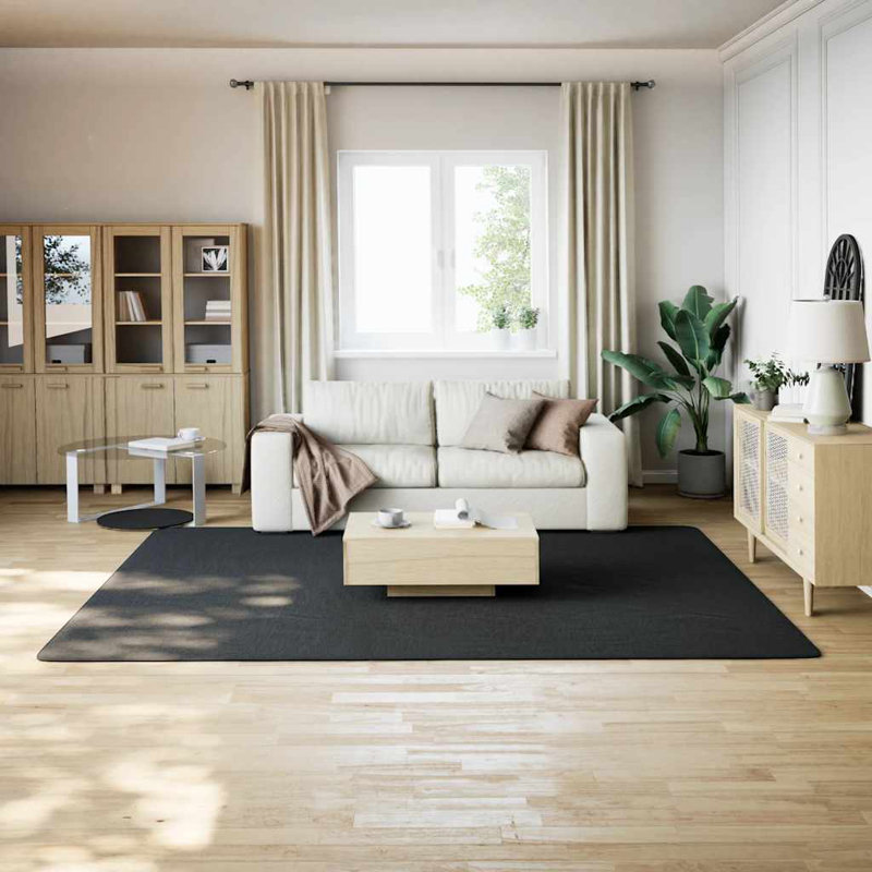 Area Rug