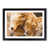 Black Framed selected