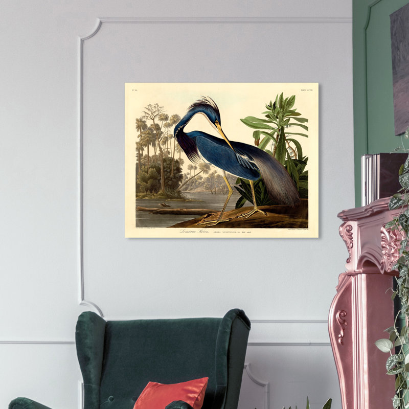 Louisiane héron - Impression sur toile, Toile tendue, H 17 po x l 20 po, Sans cadre