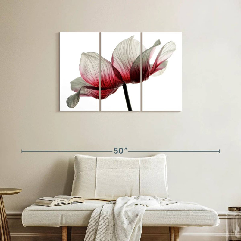 Renoncule rouge et blanc Harnek, H 24 po x l 38 po