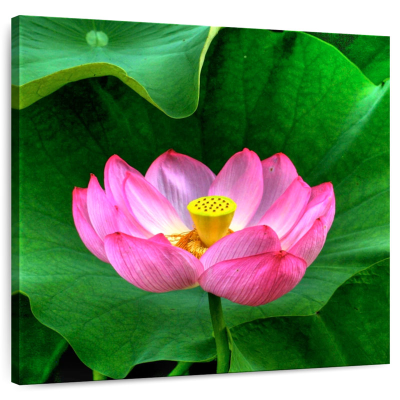 Harnek Flourishing Lotus, 33" H x 33" W