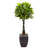 60'' Faux Foliage Tree in Stone Planter