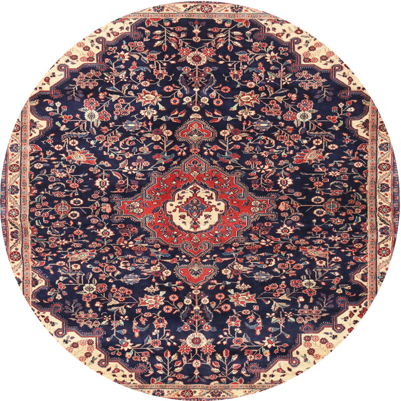 Catalyna Oriental Indoor Rug, Round 4'