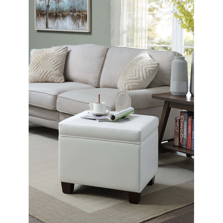 Akifa 21.50" Wide Leather Rectangle Storage Ottoman