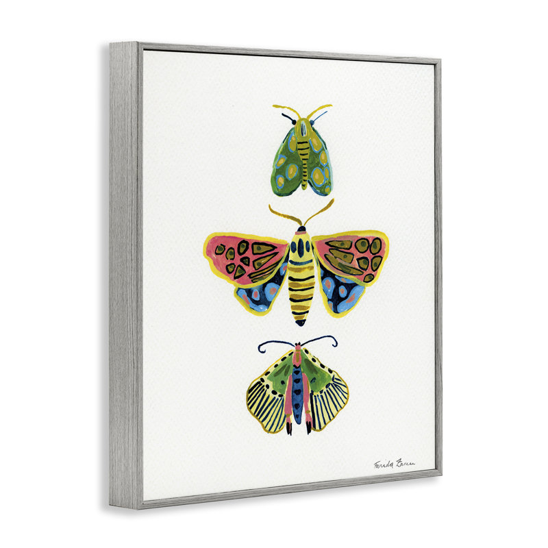 Giclée encadrée de Bright Moths Earth Tones, conception de Farida Zaman, Estampe numérique Farmhouse, H 30 po x l 24 po