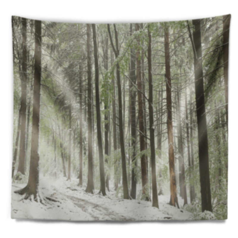 Paysage, forêt de hêtre, paysage, tapisserie, H 32 po x l 39 po