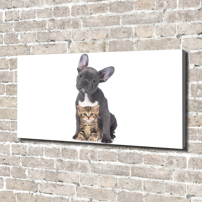 Dog And Cat - Wrapped Canvas Print