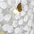Petals And Butterflies