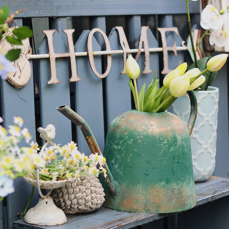  Arrosoir rétro 1 gallon - Pot de jardin extérieur en métal vieilli rustique avec bec long 