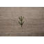 Tapis oriental tribal Gabbeh 6 x 8
