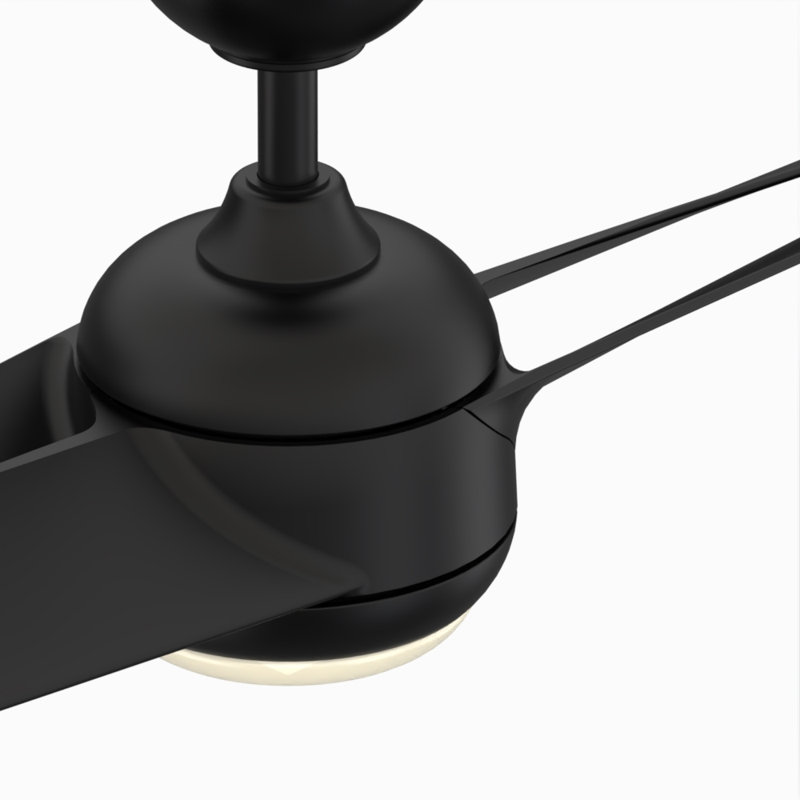 Annasophia 60'' Ceiling Fan with LED Lights, Black