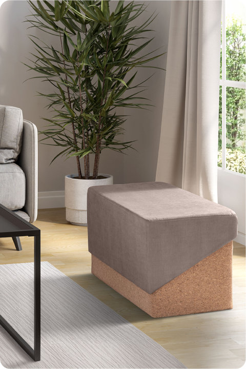 Trunks & Ottomans
