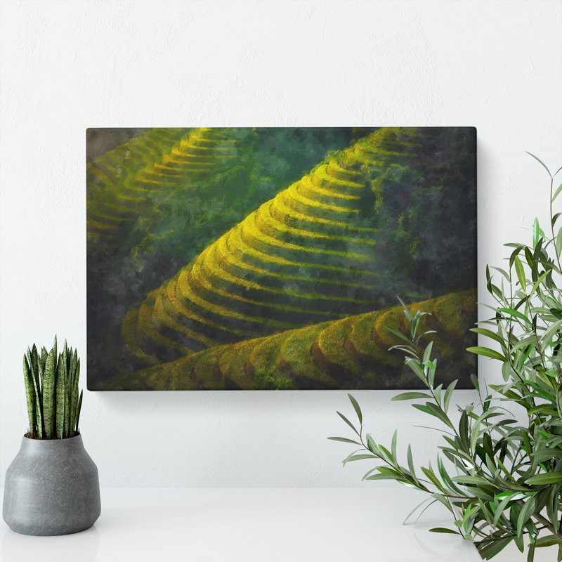 Rice Plantation In Cambodia Vol.2 - Wrapped Canvas, 35cm H x 50cm W x 3cm D