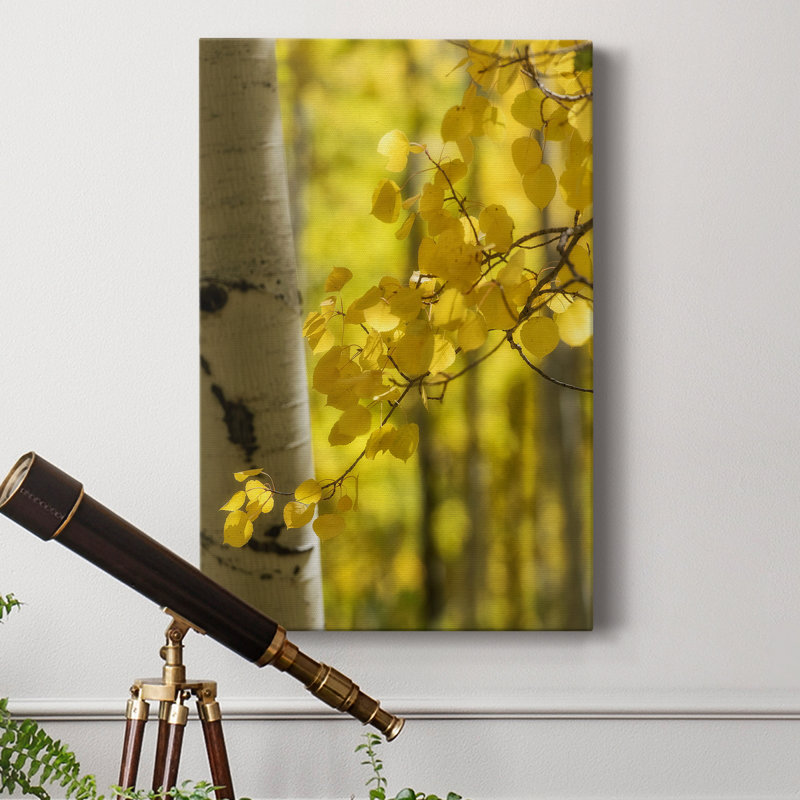 " Aspen Highlights ", 60" H x 40" W x 1" D