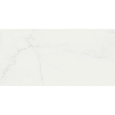 Revêtement de sol en vinyle de luxe 12 x 24 5,0 mm Daltile Grantshire (12 pièces par carton) (24,00 pieds carrés par carton)