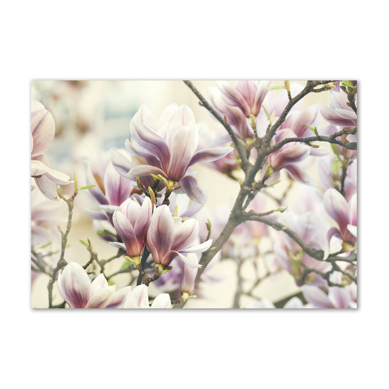 Magnolia - Wrapped Canvas Print
